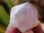 Natural Lilac Sunburst Spirit Quartz Crystals x 70 From Boekenhouthoek, South Africa - Toprock Gemstones and Minerals 