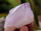Natural Lilac Sunburst Spirit Quartz Crystals x 70 From Boekenhouthoek, South Africa - Toprock Gemstones and Minerals 