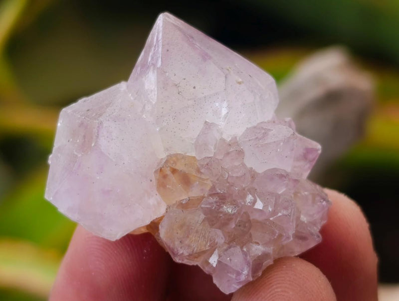 Natural Lilac Sunburst Spirit Quartz Crystals x 70 From Boekenhouthoek, South Africa - Toprock Gemstones and Minerals 