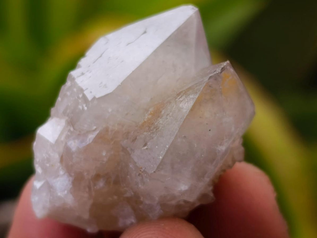 Natural Lilac Sunburst Spirit Quartz Crystals x 70 From Boekenhouthoek, South Africa - Toprock Gemstones and Minerals 