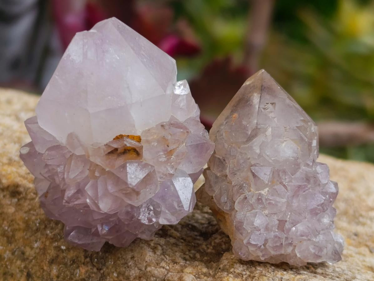 Natural Lilac Sunburst Spirit Quartz Crystals x 70 From Boekenhouthoek, South Africa - Toprock Gemstones and Minerals 
