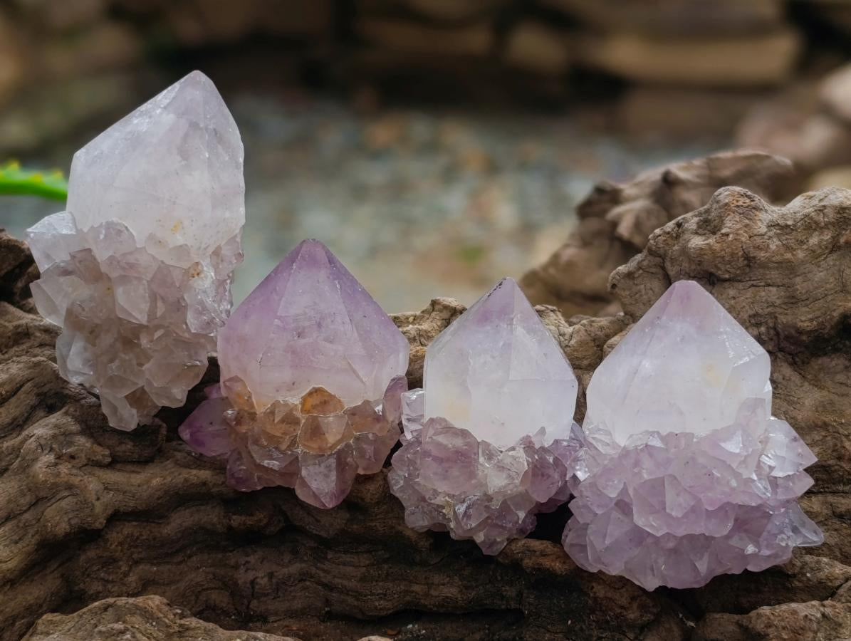 Natural Lilac Sunburst Spirit Quartz Crystals x 70 From Boekenhouthoek, South Africa - Toprock Gemstones and Minerals 