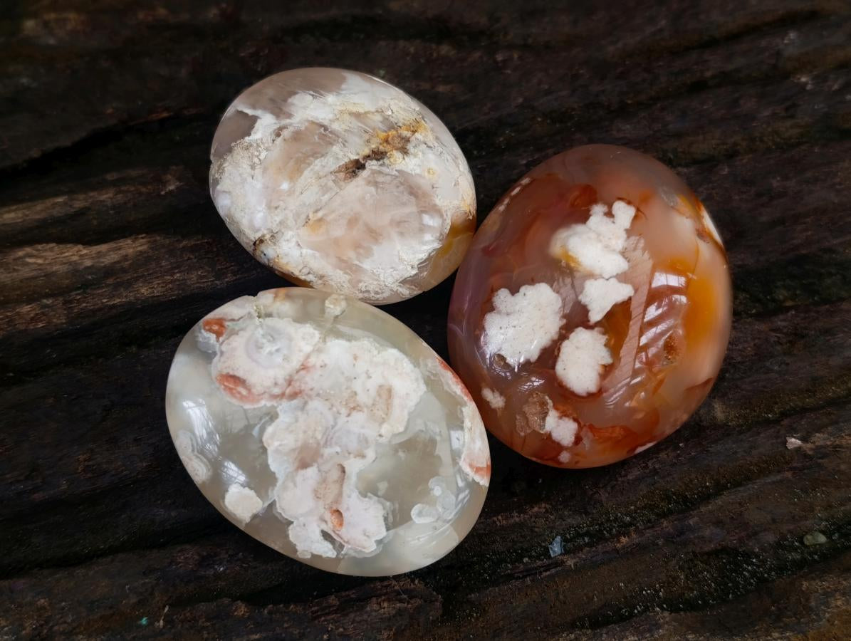 Polished Flower Agate Palm Stones x 24 From Antsahalova, Madagascar - Toprock Gemstones and Minerals 