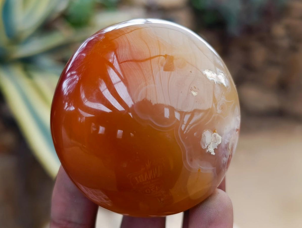 Polished Flower Agate Palm Stones x 24 From Antsahalova, Madagascar - Toprock Gemstones and Minerals 