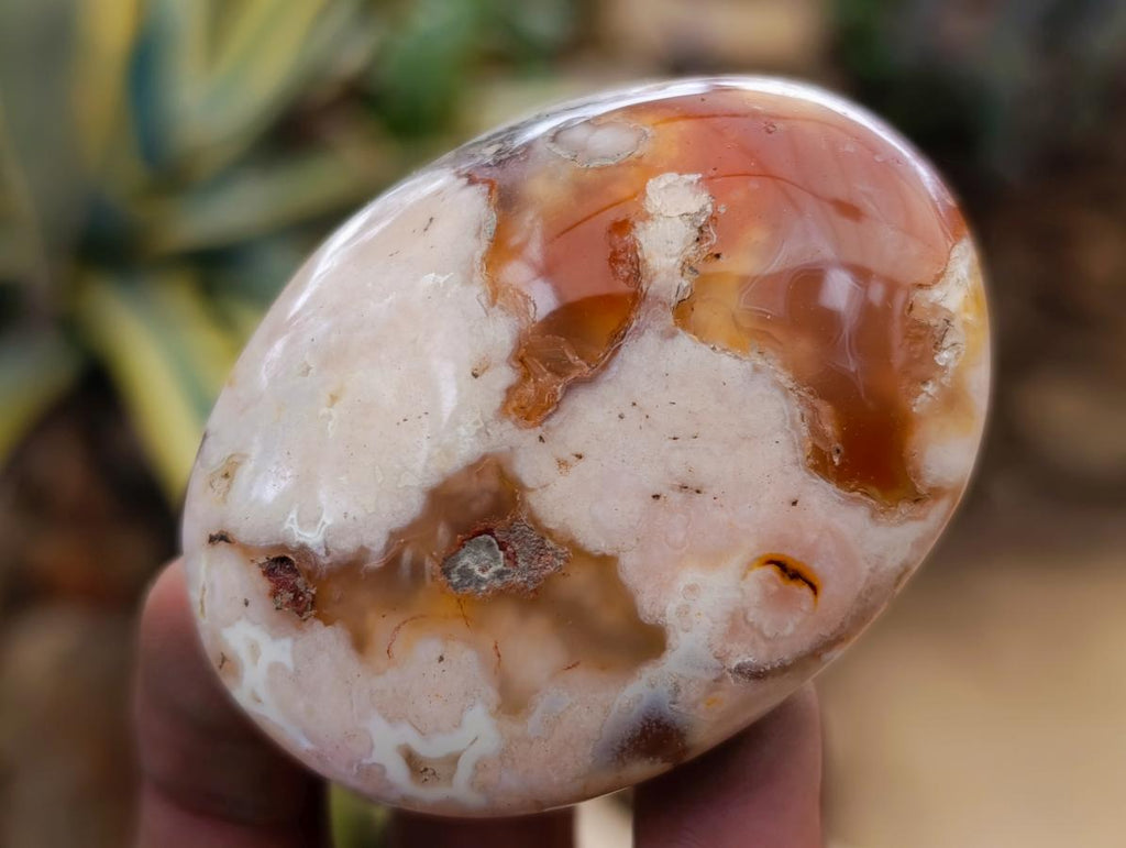 Polished Flower Agate Palm Stones x 24 From Antsahalova, Madagascar - Toprock Gemstones and Minerals 