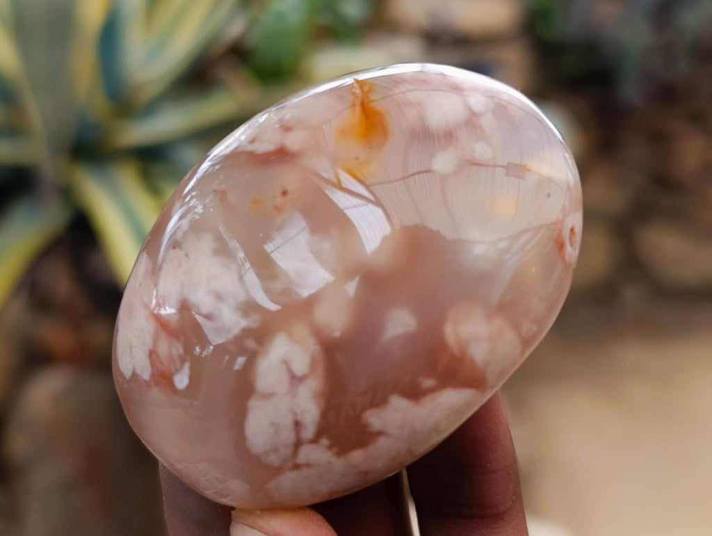 Polished Flower Agate Palm Stones x 24 From Antsahalova, Madagascar - Toprock Gemstones and Minerals 