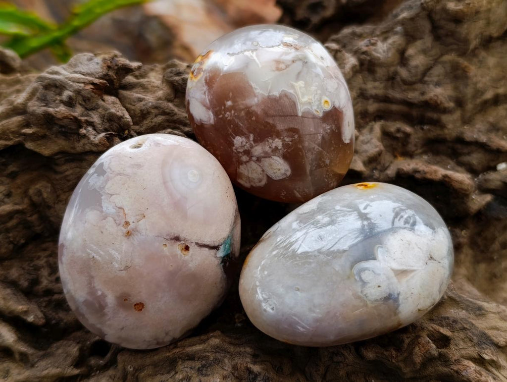 Polished Flower Agate Palm Stones x 24 From Antsahalova, Madagascar - Toprock Gemstones and Minerals 