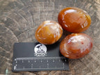 Polished Flower Agate Palm Stones x 24 From Antsahalova, Madagascar - Toprock Gemstones and Minerals 