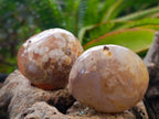 Polished Flower Agate Palm Stones x 24 From Antsahalova, Madagascar - Toprock Gemstones and Minerals 