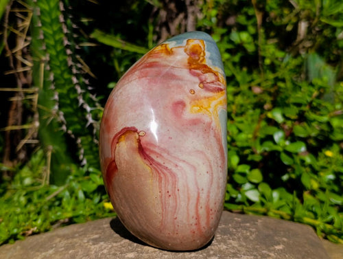 Polished Polychrome Jasper Standing Free Forms x 2 From NW Coast, Madagascar - Toprock Gemstones and Minerals 