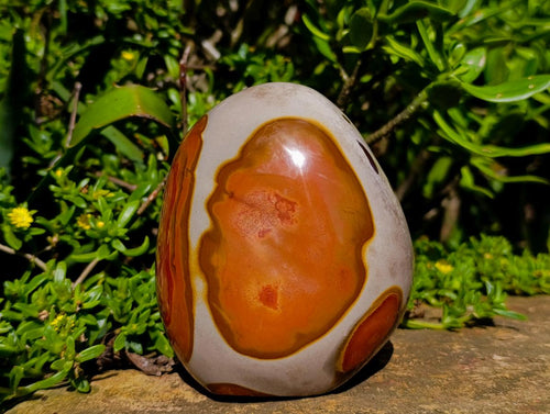 Polished Polychrome Jasper Standing Free Forms x 2 From NW Coast, Madagascar - Toprock Gemstones and Minerals 