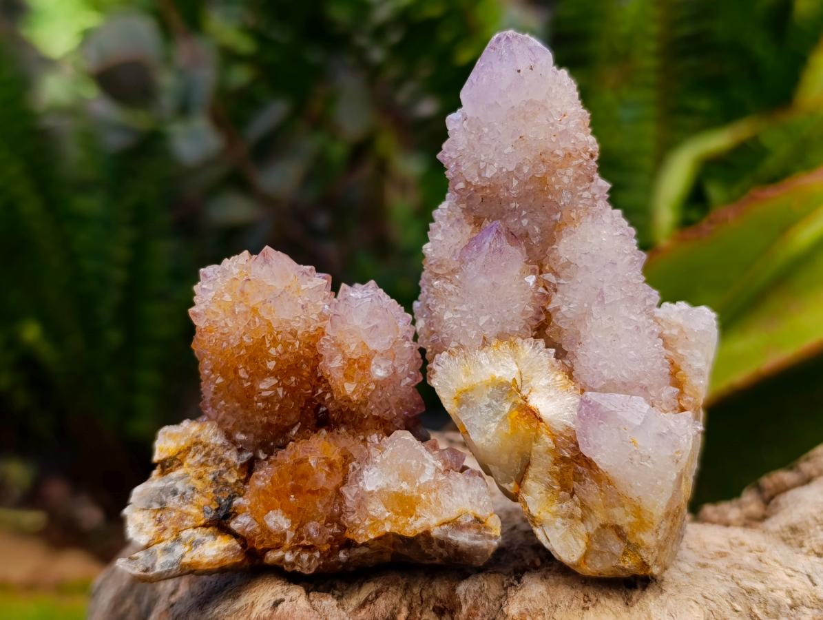 Natural Lilac Amethyst Spirit Quartz Clusters x 12 From Boekenhouthoek, South Africa - Toprock Gemstones and Minerals 