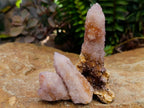 Natural Lilac Amethyst Spirit Quartz Clusters x 12 From Boekenhouthoek, South Africa - Toprock Gemstones and Minerals 