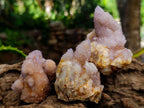 Natural Lilac Amethyst Spirit Quartz Clusters x 12 From Boekenhouthoek, South Africa - Toprock Gemstones and Minerals 