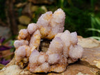 Natural Lilac Amethyst Spirit Quartz Clusters x 12 From Boekenhouthoek, South Africa - Toprock Gemstones and Minerals 