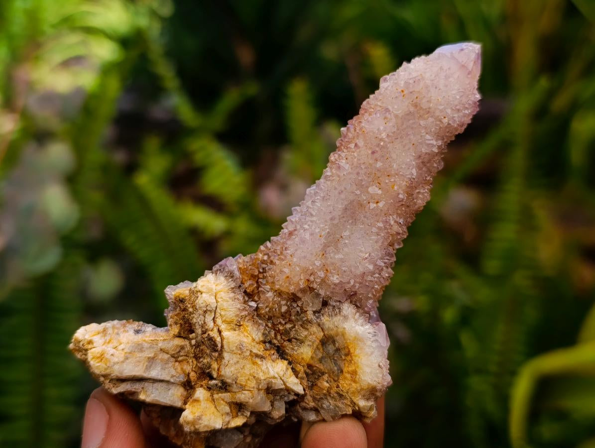 Natural Lilac Amethyst Spirit Quartz Clusters x 12 From Boekenhouthoek, South Africa - Toprock Gemstones and Minerals 