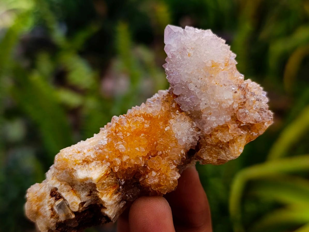 Natural Lilac Amethyst Spirit Quartz Clusters x 12 From Boekenhouthoek, South Africa - Toprock Gemstones and Minerals 