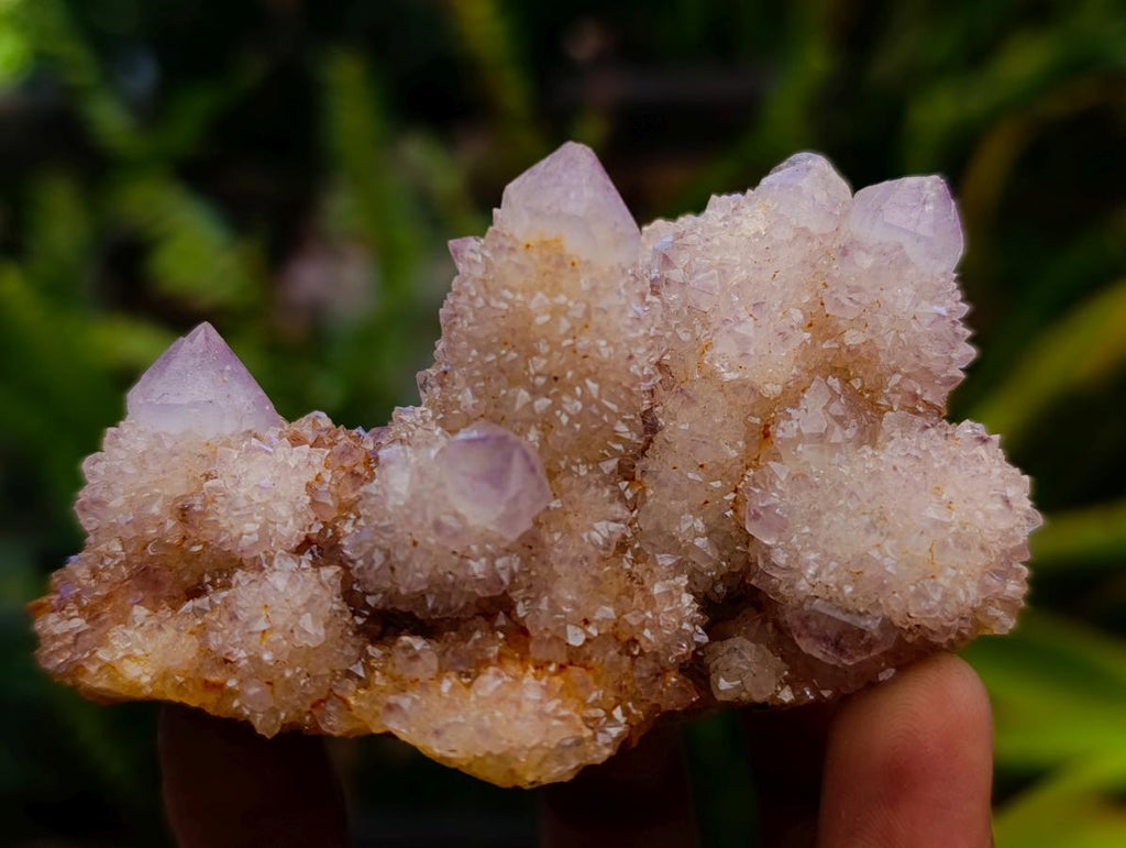 Natural Lilac Amethyst Spirit Quartz Clusters x 12 From Boekenhouthoek, South Africa - Toprock Gemstones and Minerals 