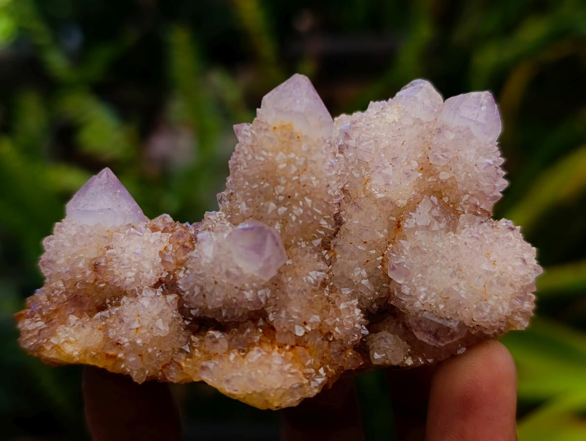 Natural Lilac Amethyst Spirit Quartz Clusters x 12 From Boekenhouthoek, South Africa - Toprock Gemstones and Minerals 