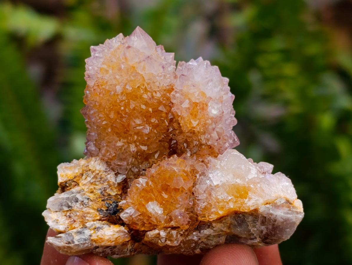 Natural Lilac Amethyst Spirit Quartz Clusters x 12 From Boekenhouthoek, South Africa - Toprock Gemstones and Minerals 