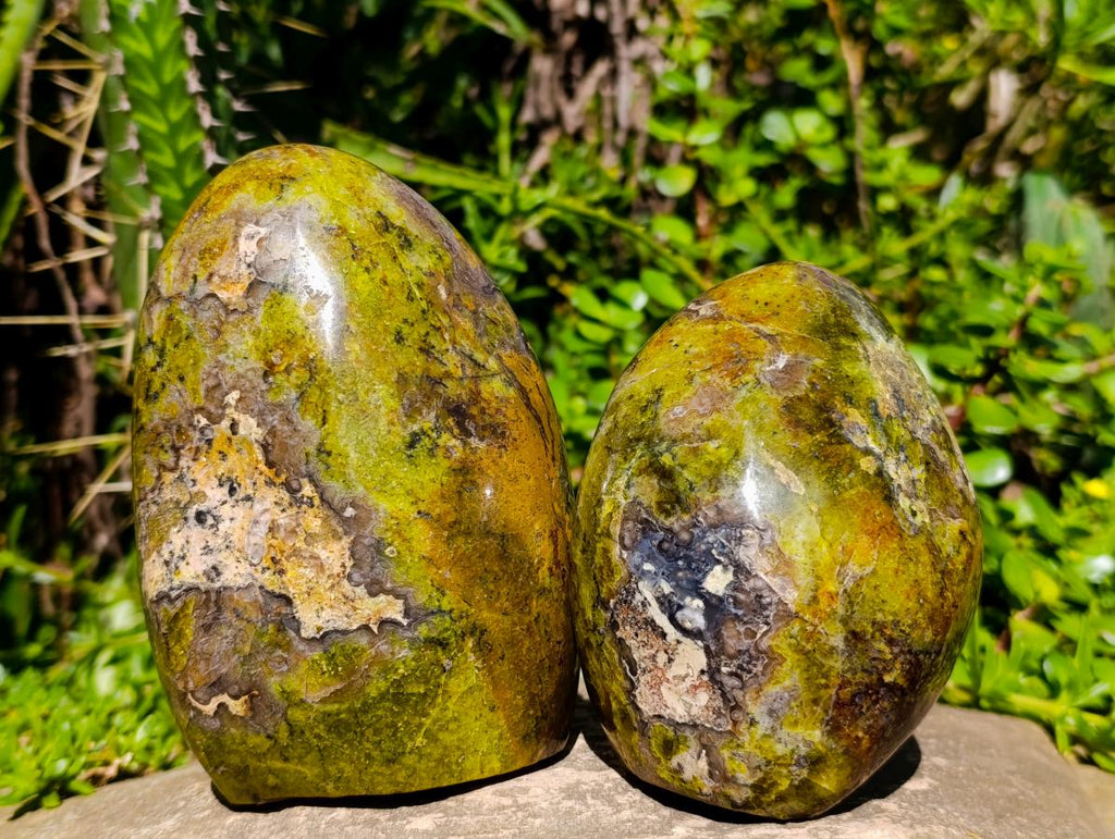 Polished Green Opal Standing Free Forms x 3 From Betroka, Madagascar - Toprock Gemstones and Minerals 