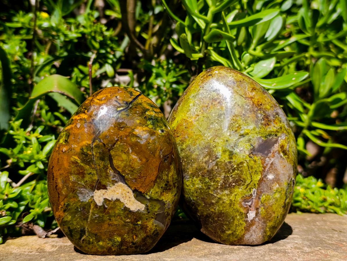 Polished Green Opal Standing Free Forms x 3 From Betroka, Madagascar - Toprock Gemstones and Minerals 