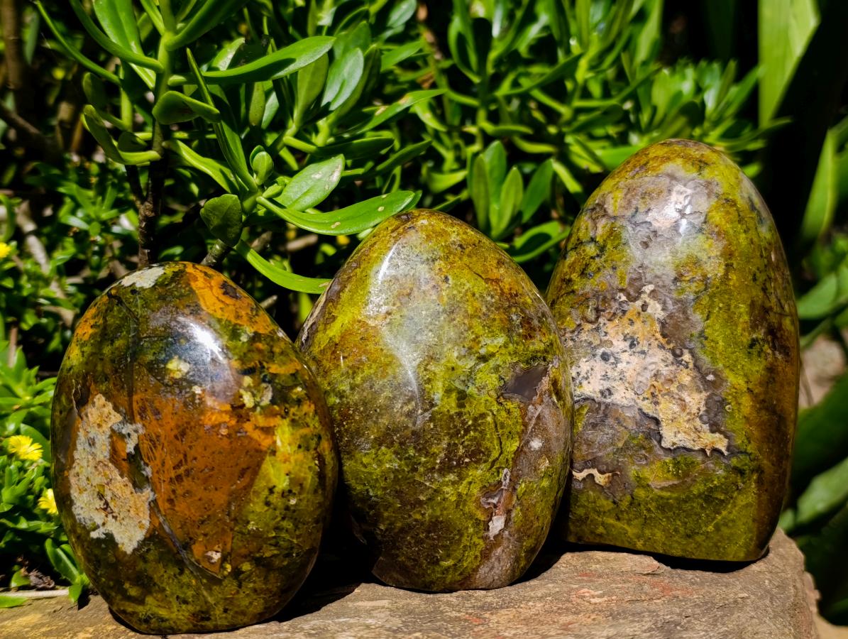Polished Green Opal Standing Free Forms x 3 From Betroka, Madagascar - Toprock Gemstones and Minerals 