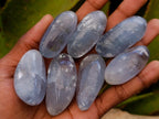 Polished Blue Celestite Free Forms x 40 From Sakoany, Madagascar - Toprock Gemstones and Minerals 