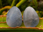 Polished Blue Celestite Free Forms x 40 From Sakoany, Madagascar - Toprock Gemstones and Minerals 