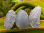 Polished Blue Celestite Free Forms x 40 From Sakoany, Madagascar - Toprock Gemstones and Minerals 