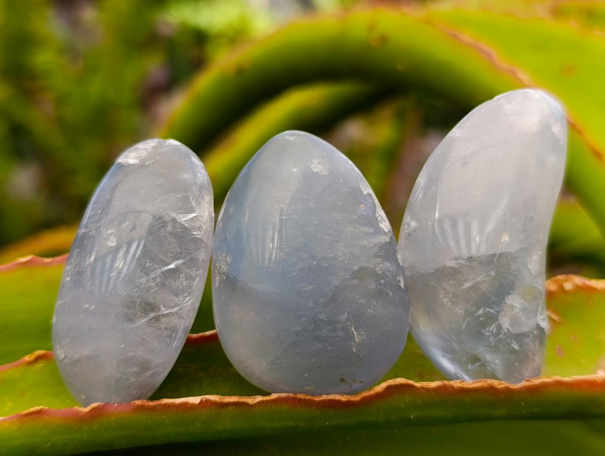 Polished Blue Celestite Free Forms x 40 From Sakoany, Madagascar - Toprock Gemstones and Minerals 