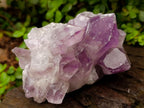 Natural Jacaranda Amethyst Crystal Clusters x 2 From Mumbwa, Zambia - Toprock Gemstones and Minerals 
