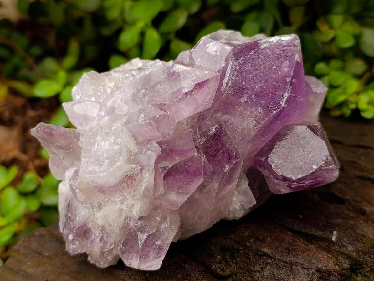 Natural Jacaranda Amethyst Crystal Clusters x 2 From Mumbwa, Zambia - Toprock Gemstones and Minerals 