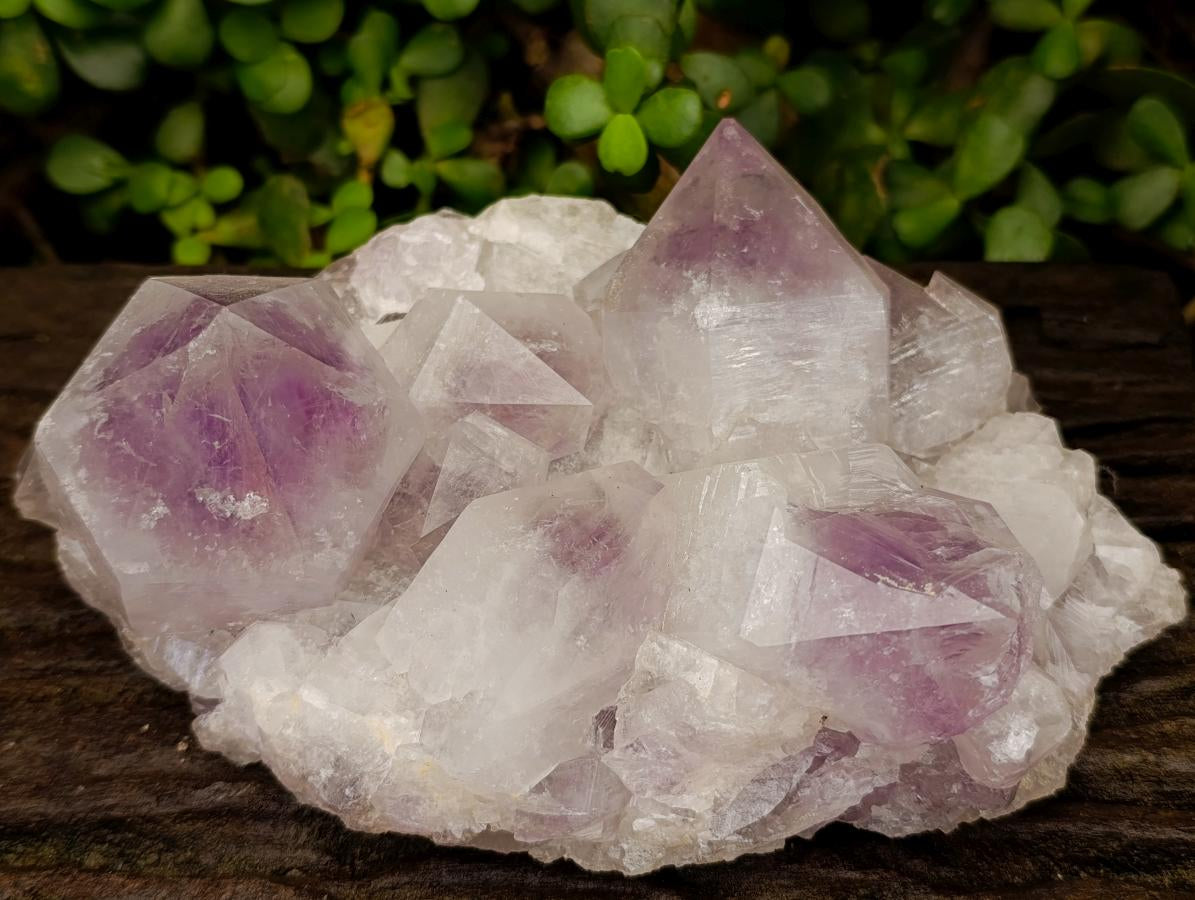 Natural Jacaranda Amethyst Crystal Clusters x 2 From Mumbwa, Zambia - Toprock Gemstones and Minerals 