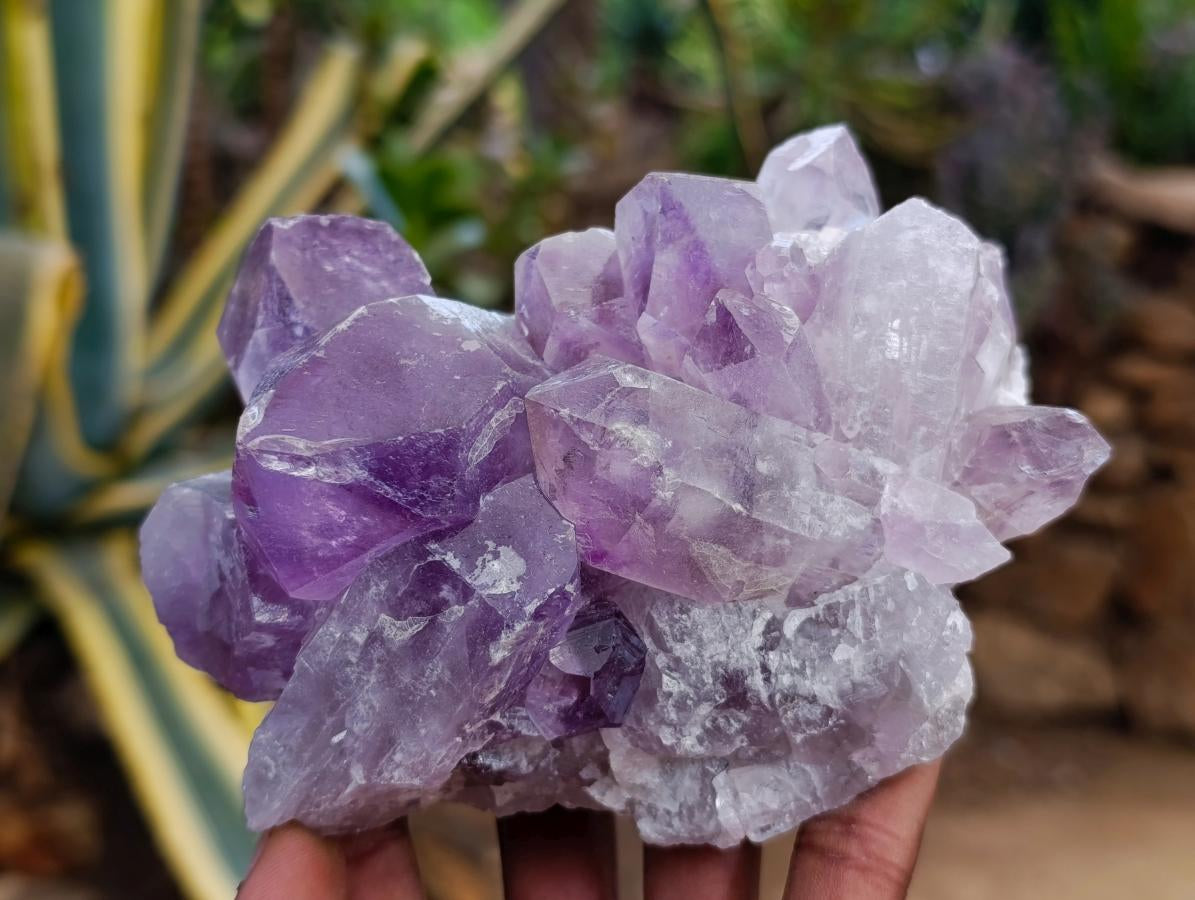 Natural Jacaranda Amethyst Crystal Clusters x 2 From Mumbwa, Zambia - Toprock Gemstones and Minerals 