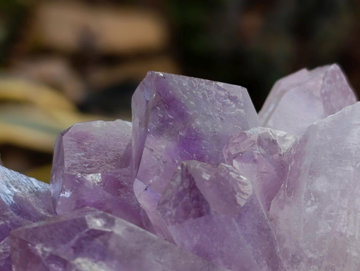 Natural Jacaranda Amethyst Crystal Clusters x 2 From Mumbwa, Zambia - Toprock Gemstones and Minerals 