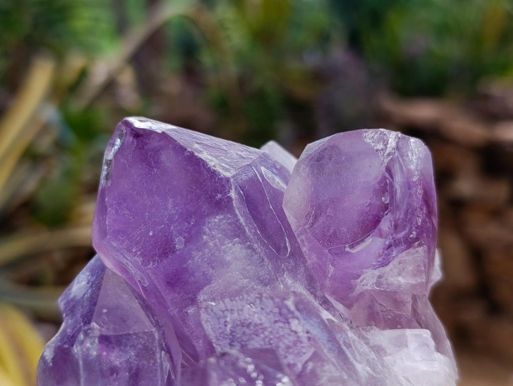 Natural Jacaranda Amethyst Crystal Clusters x 2 From Mumbwa, Zambia - Toprock Gemstones and Minerals 