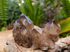 Natural Small Smokey Phantom Quartz Clusters x 12 From Luena, Congo - Toprock Gemstones and Minerals 