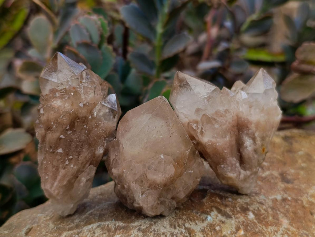 Natural Small Smokey Phantom Quartz Clusters x 12 From Luena, Congo - Toprock Gemstones and Minerals 