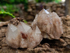 Natural Small Smokey Phantom Quartz Clusters x 12 From Luena, Congo - Toprock Gemstones and Minerals 