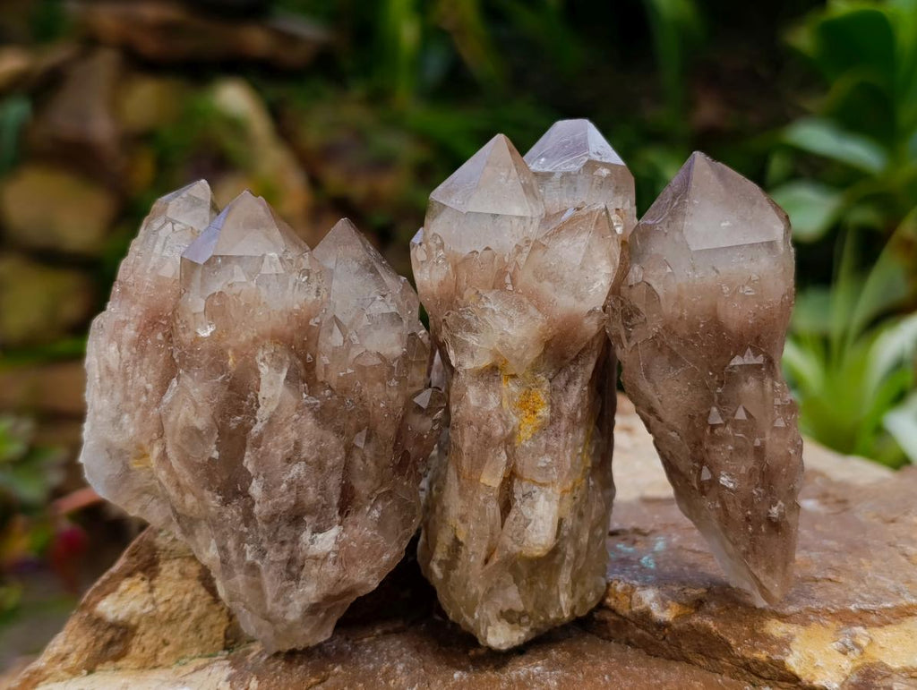 Natural Small Smokey Phantom Quartz Clusters x 12 From Luena, Congo - Toprock Gemstones and Minerals 