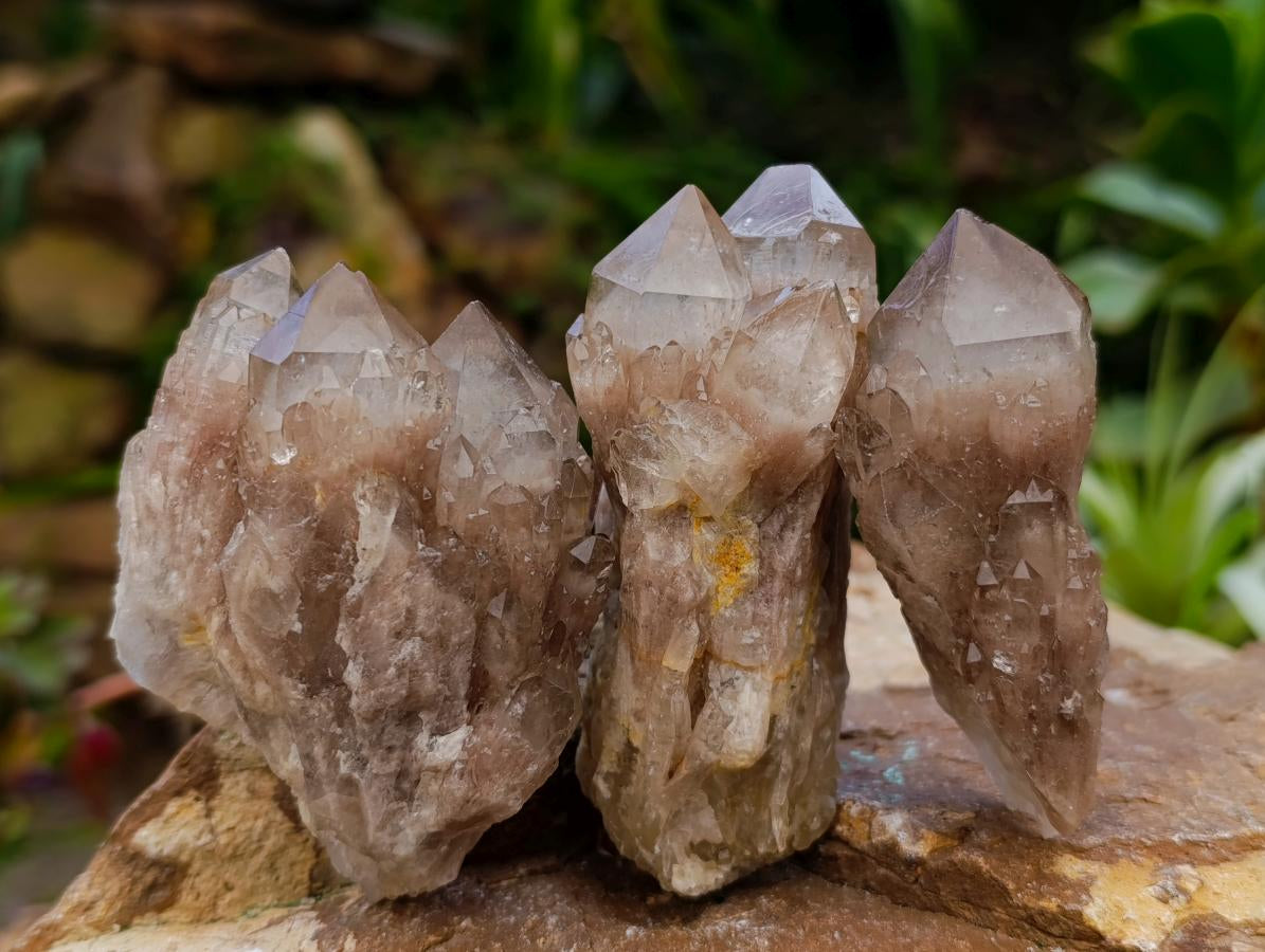 Natural Small Smokey Phantom Quartz Clusters x 12 From Luena, Congo - Toprock Gemstones and Minerals 