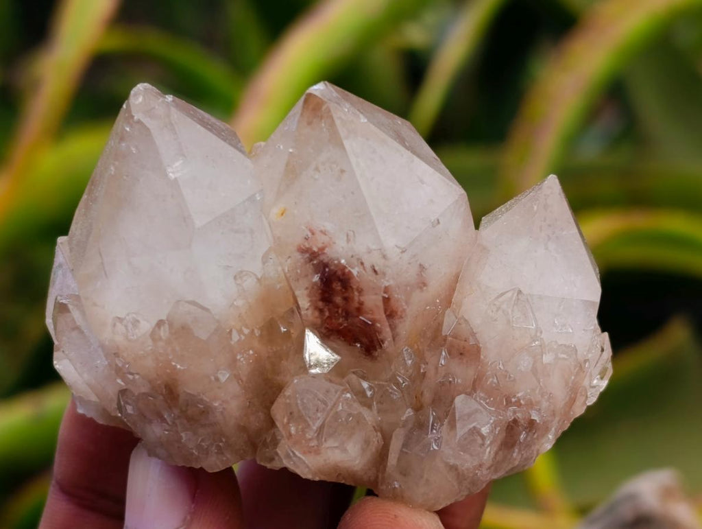 Natural Small Smokey Phantom Quartz Clusters x 12 From Luena, Congo - Toprock Gemstones and Minerals 