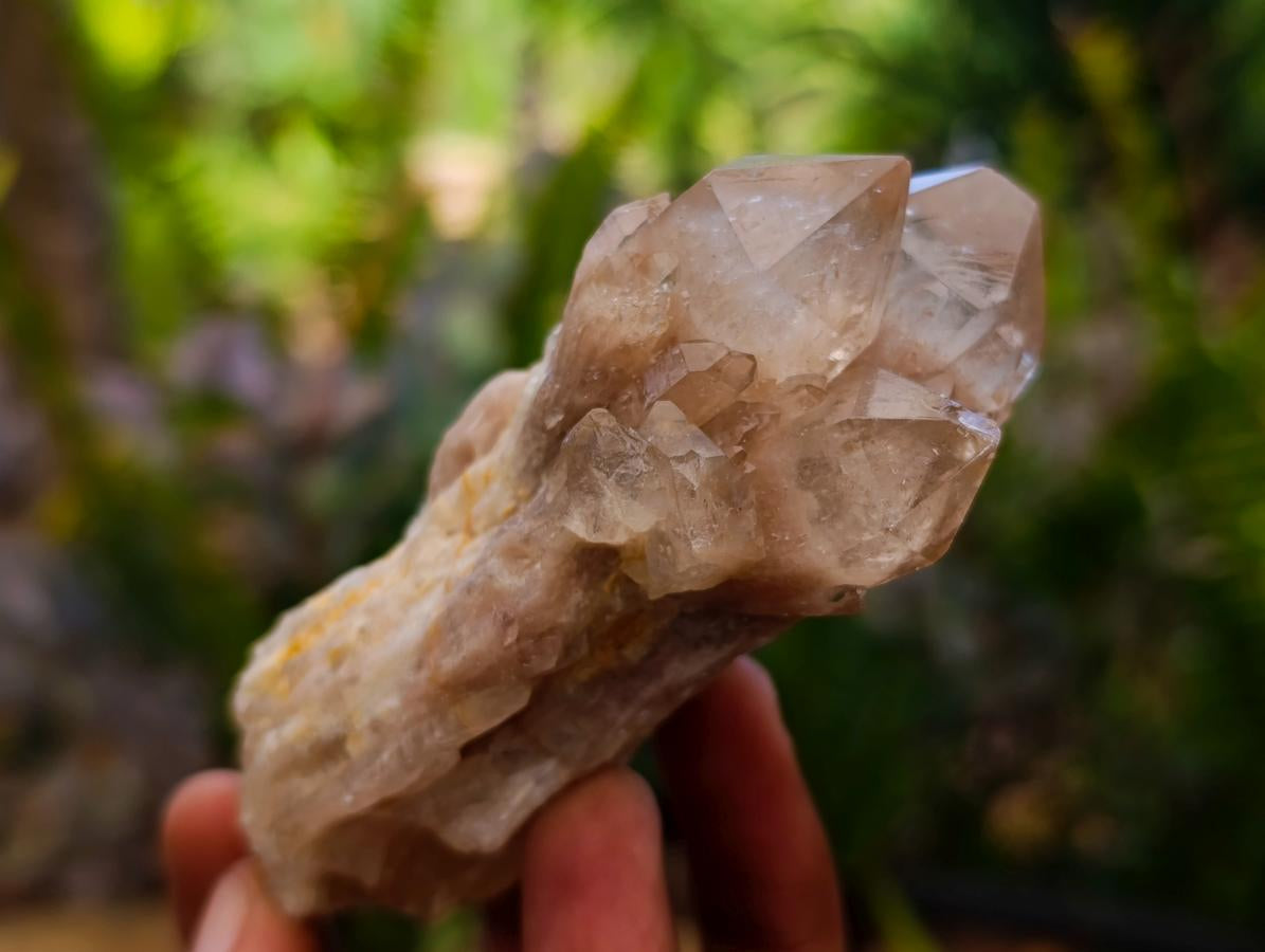 Natural Small Smokey Phantom Quartz Clusters x 12 From Luena, Congo - Toprock Gemstones and Minerals 