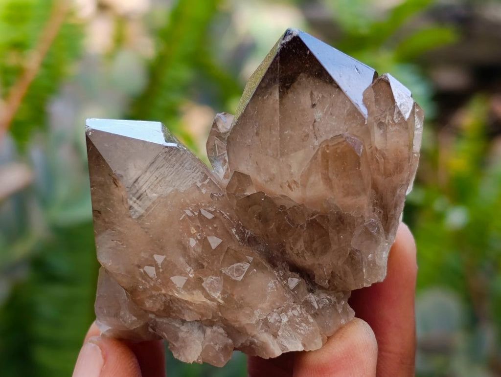 Natural Small Smokey Phantom Quartz Clusters x 12 From Luena, Congo - Toprock Gemstones and Minerals 