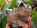 Natural Small Smokey Phantom Quartz Clusters x 12 From Luena, Congo - Toprock Gemstones and Minerals 
