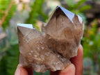 Natural Small Smokey Phantom Quartz Clusters x 12 From Luena, Congo - Toprock Gemstones and Minerals 