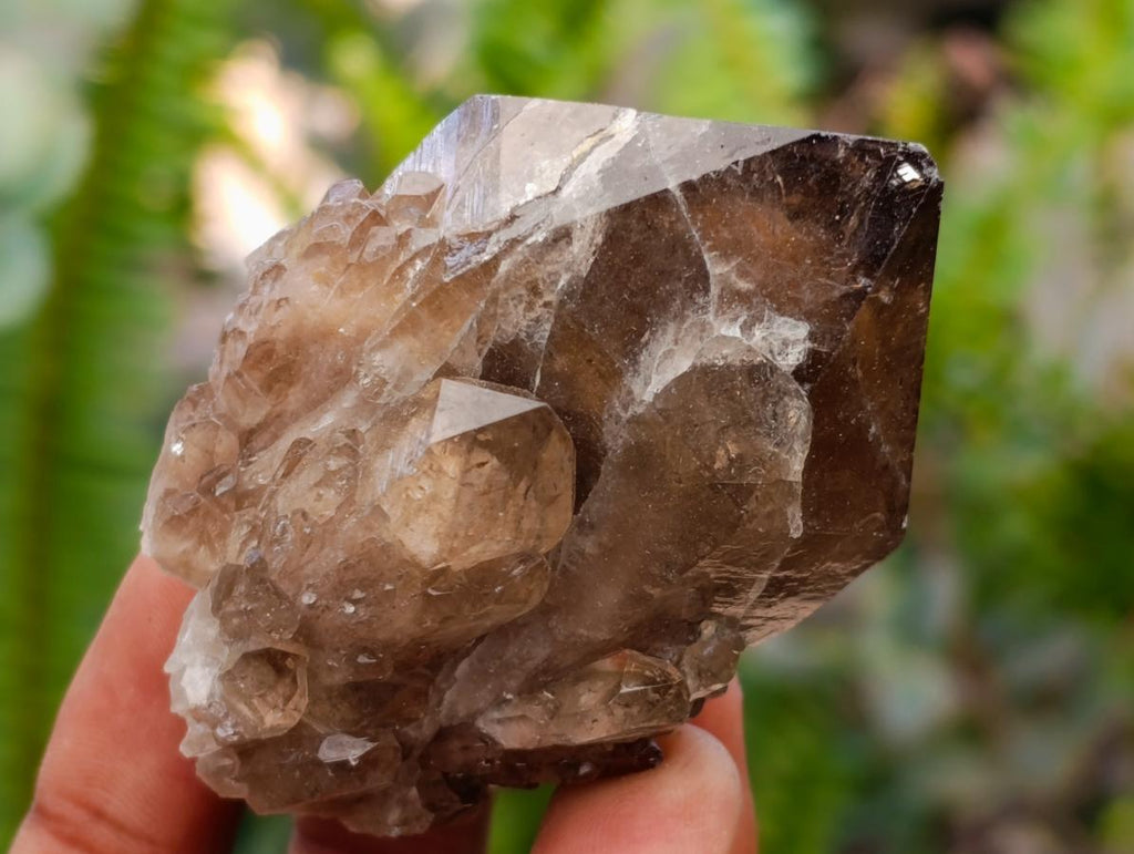 Natural Small Smokey Phantom Quartz Clusters x 12 From Luena, Congo - Toprock Gemstones and Minerals 