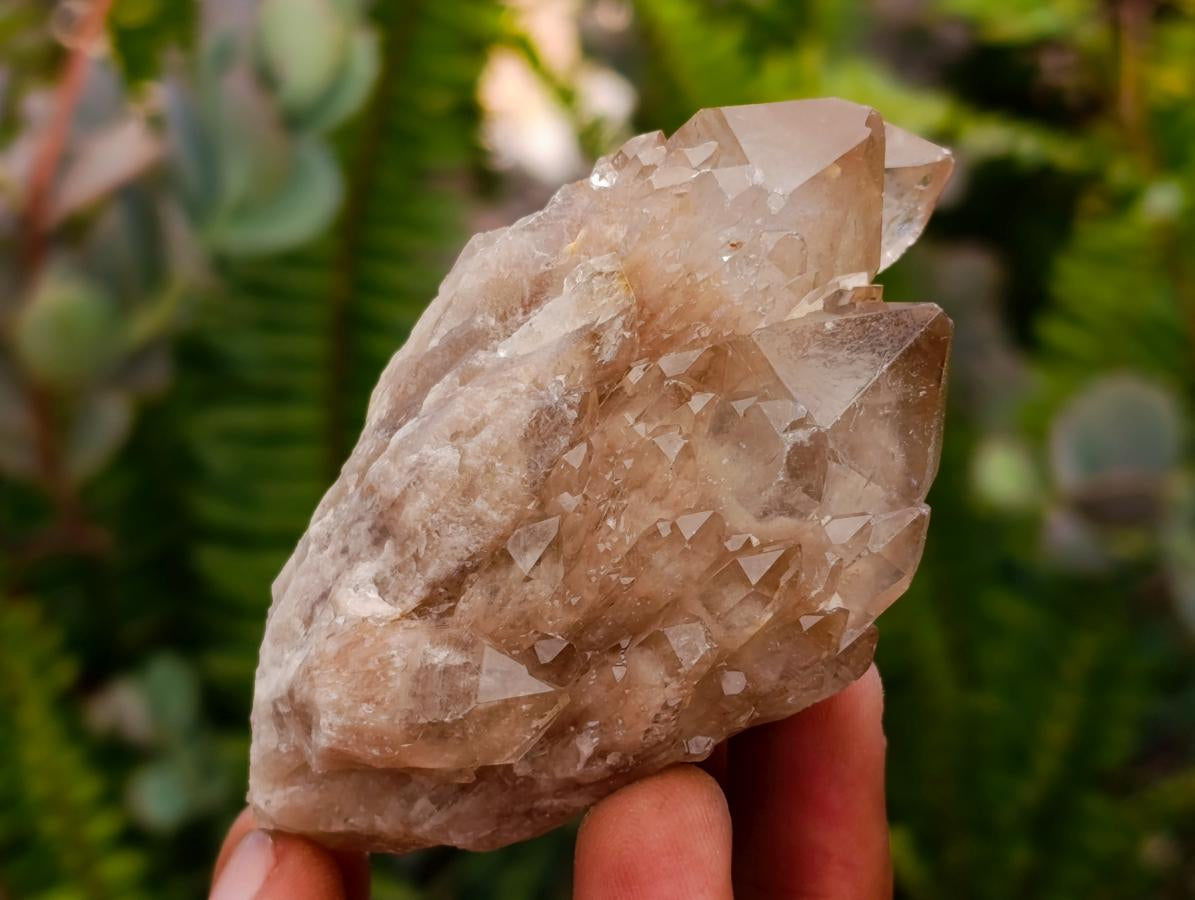 Natural Small Smokey Phantom Quartz Clusters x 12 From Luena, Congo - Toprock Gemstones and Minerals 