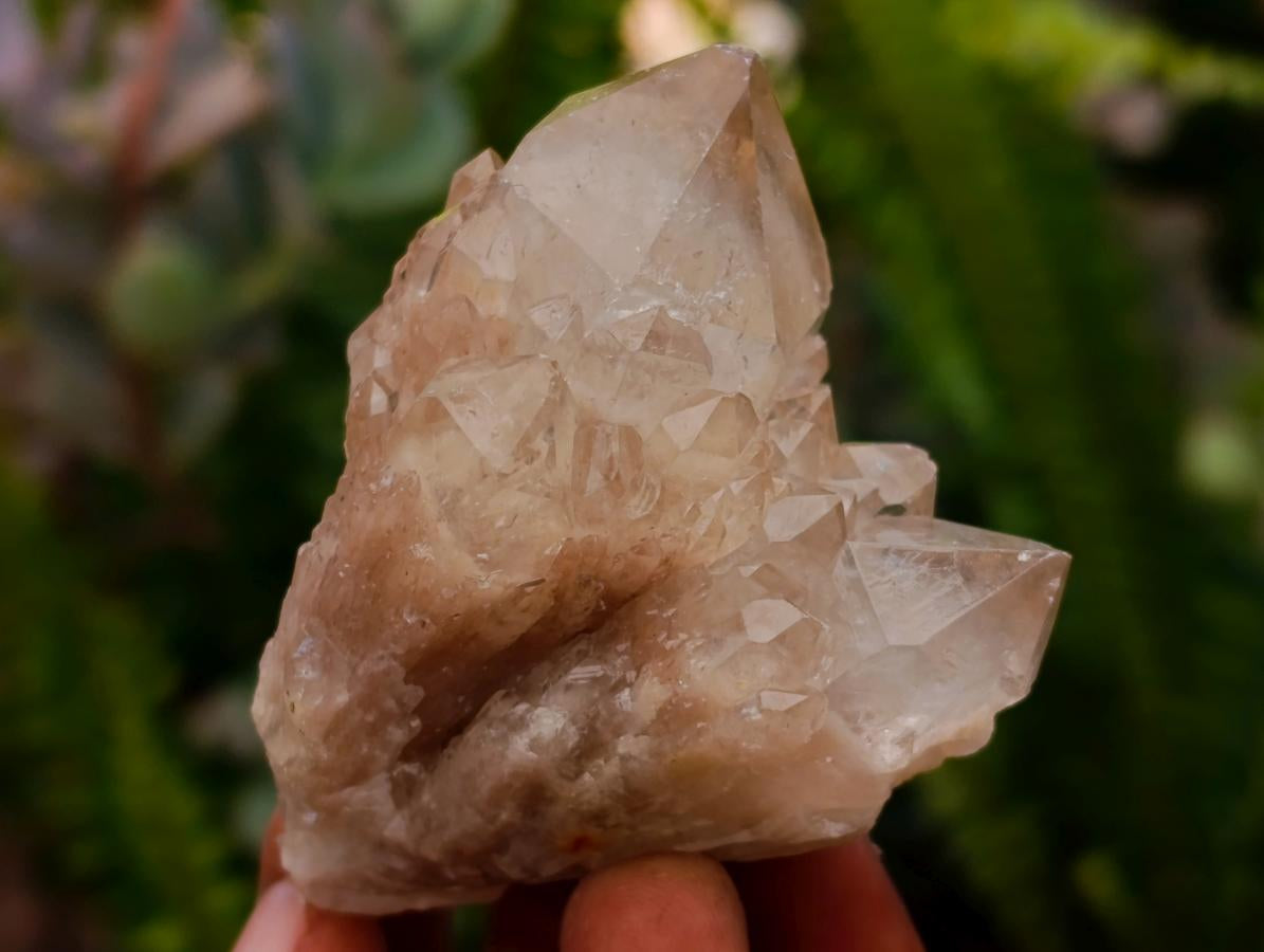 Natural Small Smokey Phantom Quartz Clusters x 12 From Luena, Congo - Toprock Gemstones and Minerals 